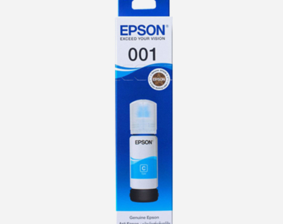 Epson-Ink10